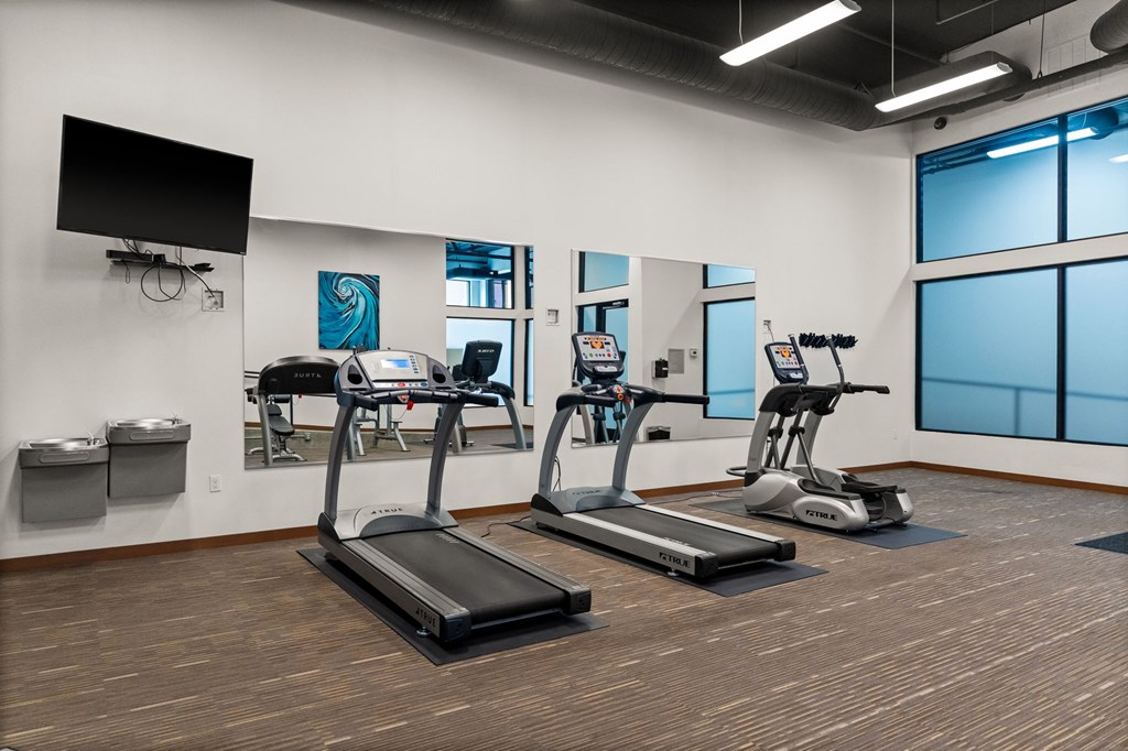 A gym with treadmills, elliptical machines, and a television.