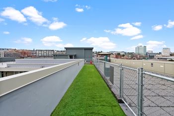 A rooftop with a metal fence and a green strip of grass.