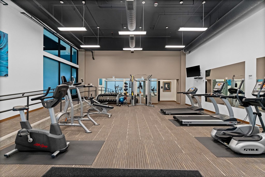 A gym with treadmills and elliptical machines.