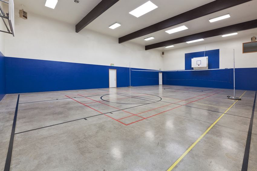 Basketball Court