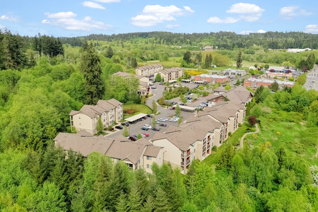 a aerial view of a neighborhood with houses and trees