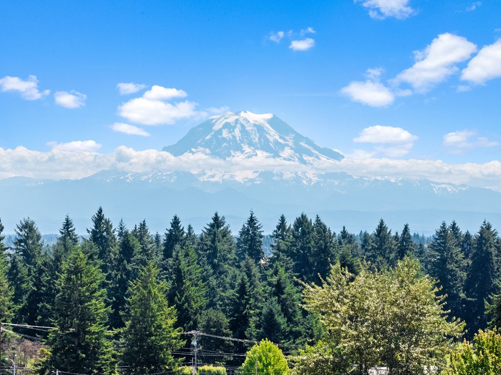 a view of a mountain over a forest of trees