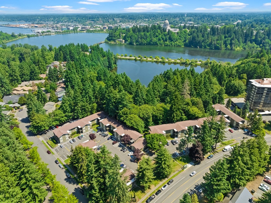an aerial view of a neighborhood with a lake in the background