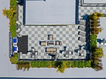A checkered patterned table and chairs are surrounded by greenery.