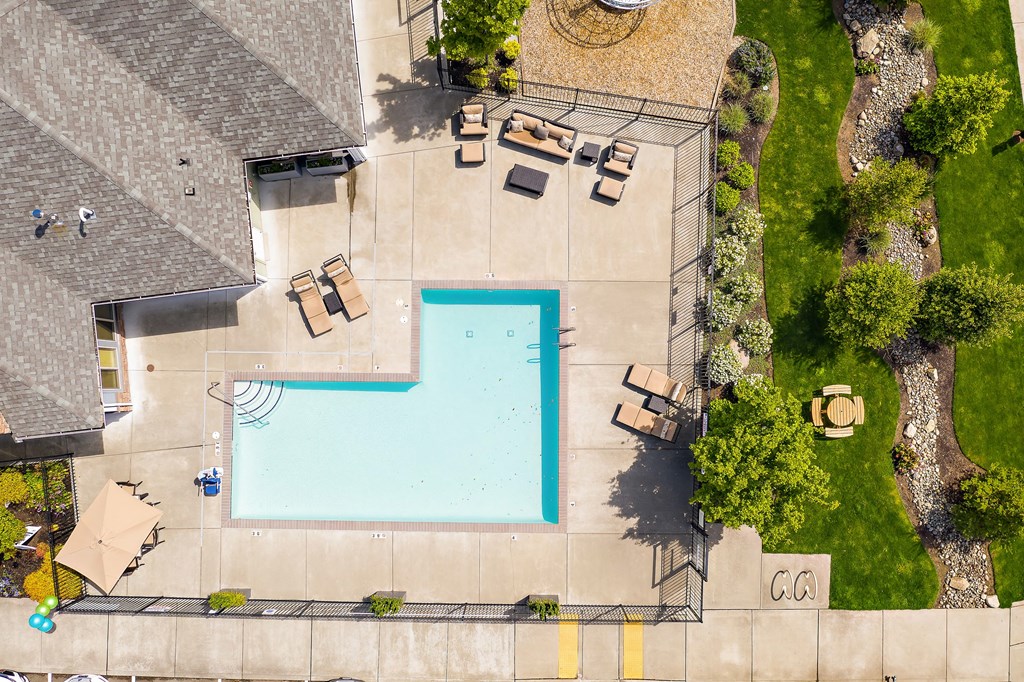 arial view of a swimming pool in a backyard with lounge chairs