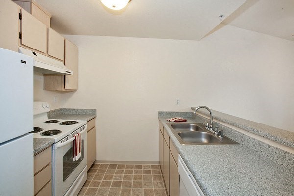 a kitchen with a sink and a stove