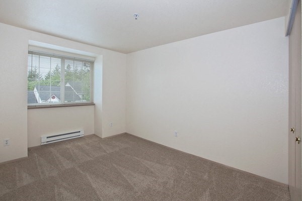 an empty living room with a window and a carpet