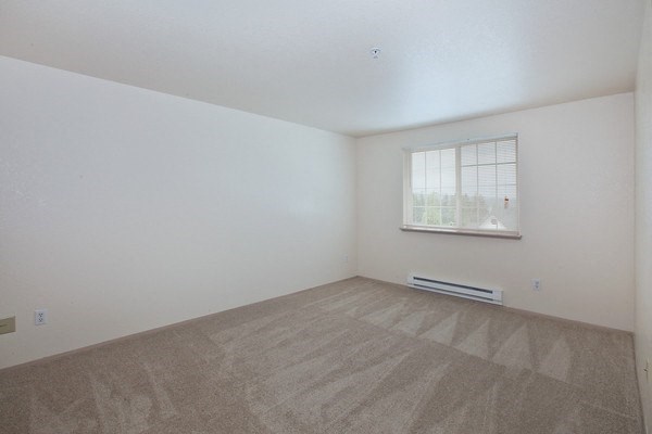 an empty living room with a window and carpet