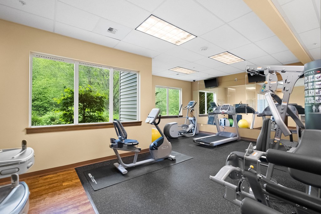 a gym with cardio machines and weights and windows