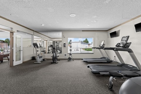Gym with treadmills and weightlifting machines