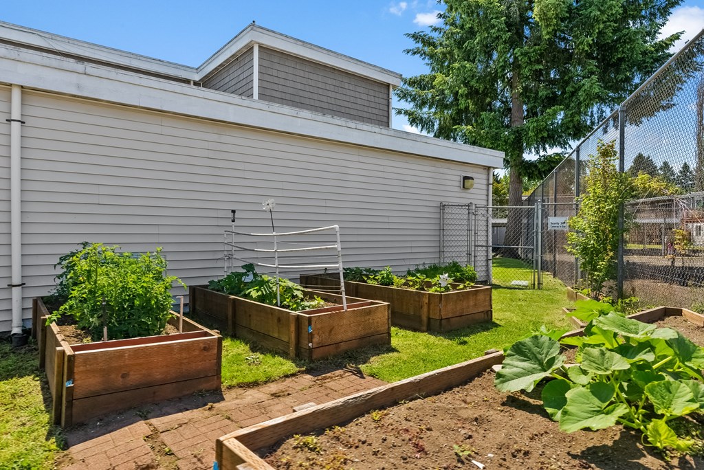 a vegetable garden in the backyard of a house