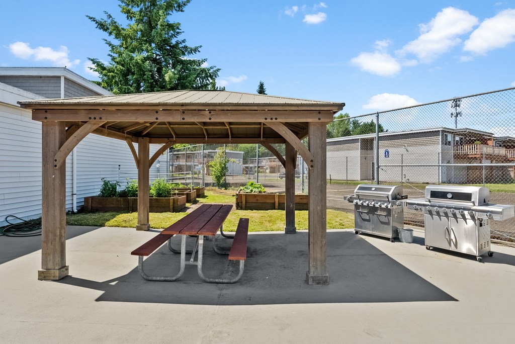 a picnic area with a picnic table and two gas grills