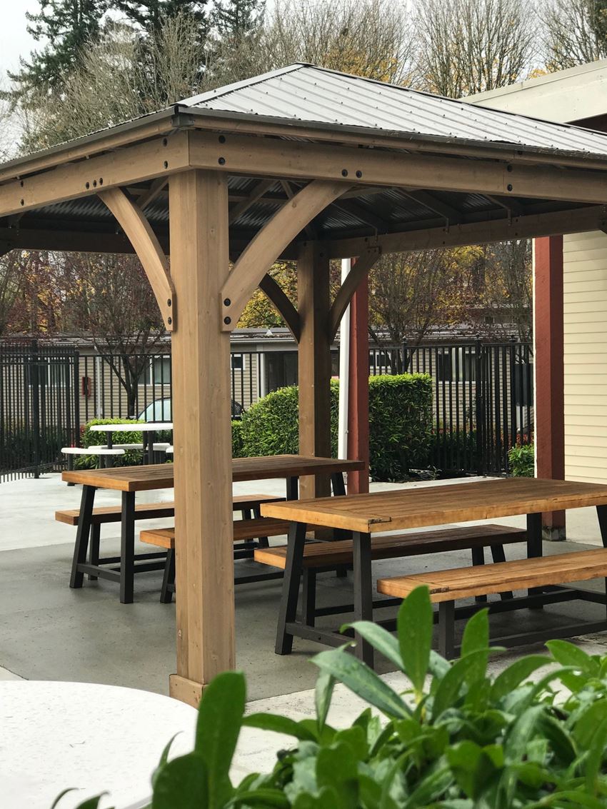 Gazeebo Gazeebo