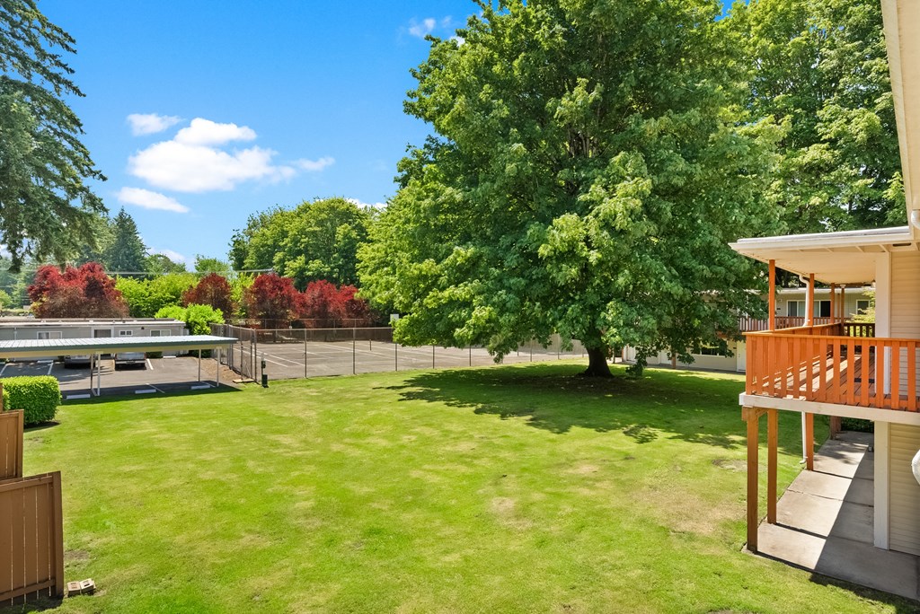 a backyard with a tree and a deck and a tennis court
