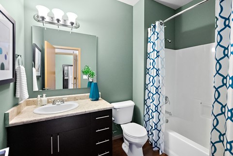 a bathroom with a shower toilet and sink and a mirror