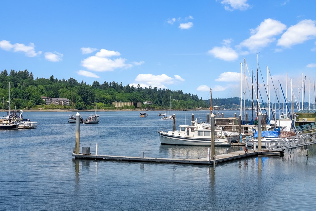 a group of boats docked at a marina on the water