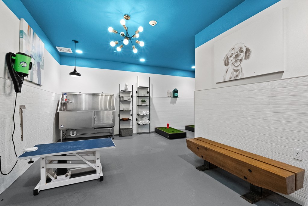a kitchen with stainless steel appliances and a blue ceiling and a bench