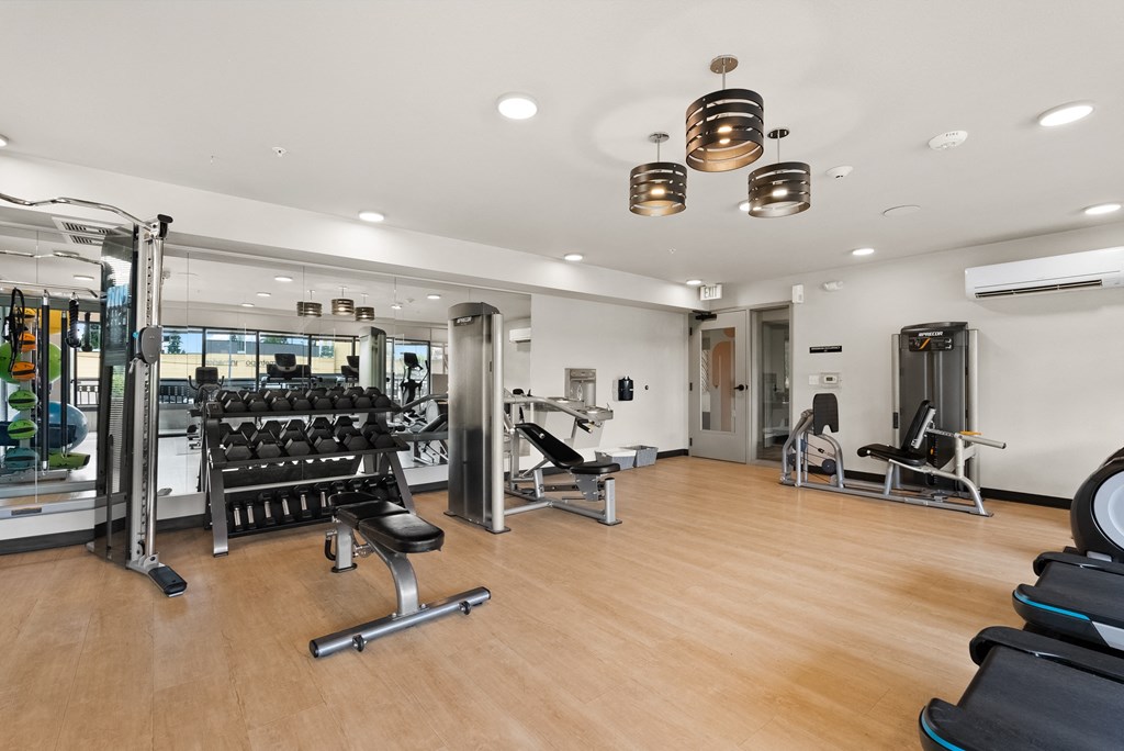 a gym with cardio machines and weights on a wooden floor