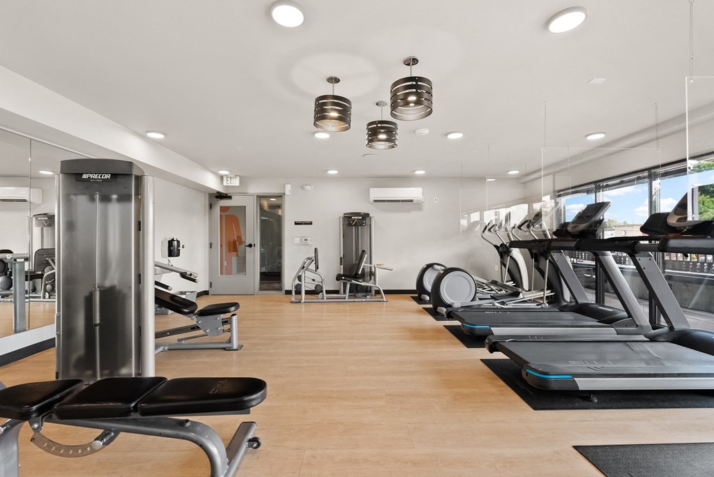 a gym with cardio equipment and weights on a wood floor