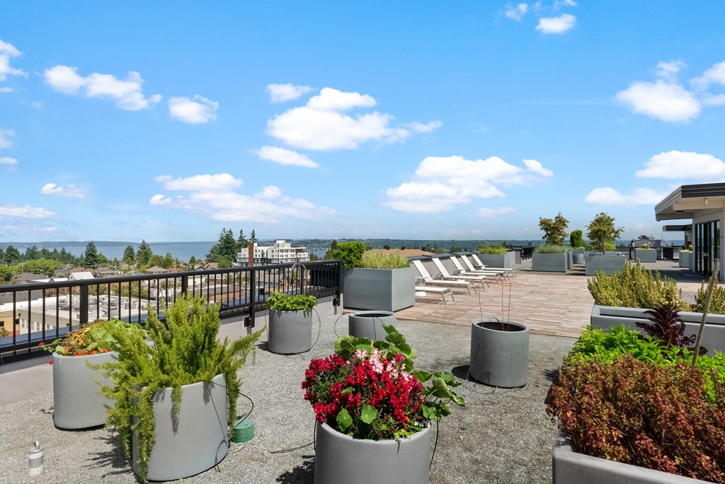 the rooftop terrace of a building with chairs and plants