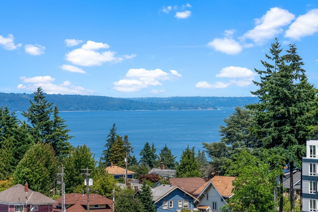 a view of the water from a town with houses and trees