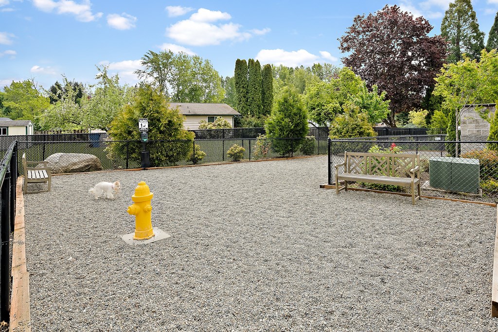 a yellow fire hydrant in the middle of a dog park