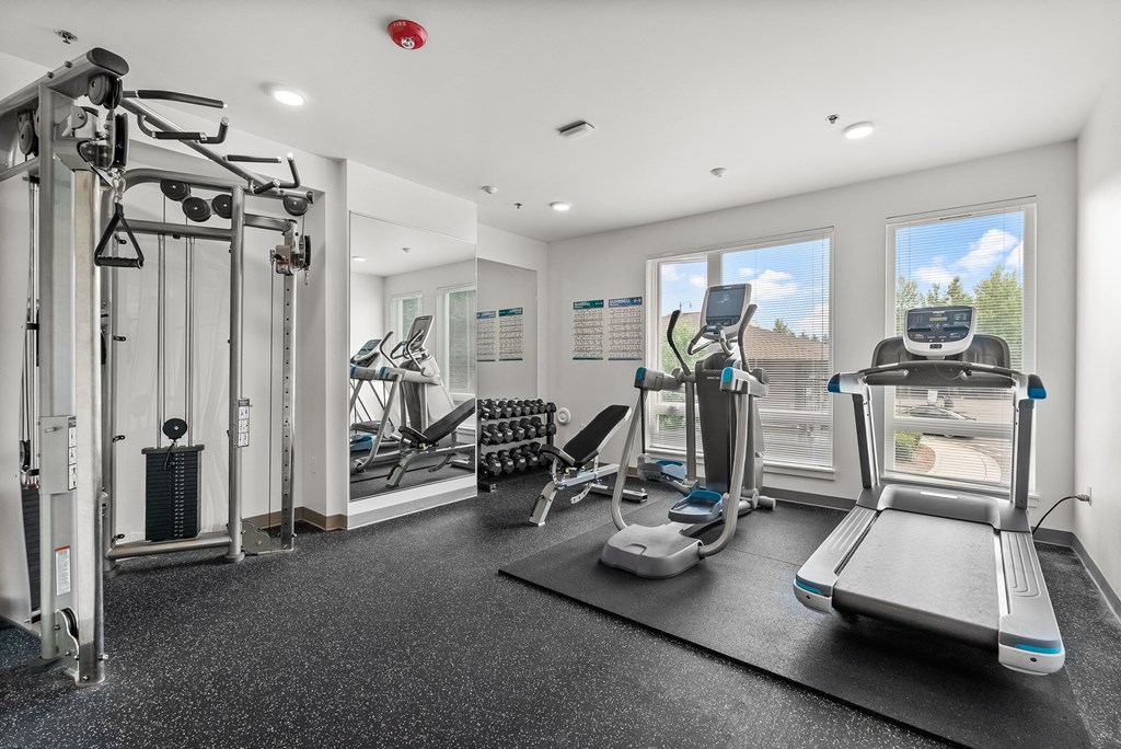 the gym at the enclave at woodbridge apartments in sugar land, tx