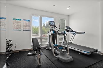A gym with a treadmill, exercise bike, and weights.