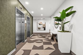 A hallway with a plant in a white planter.