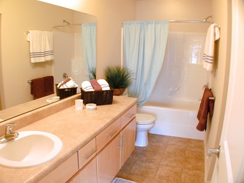 a bathroom with a sink and a toilet and a shower