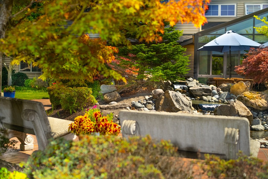 a view of a garden with a fountain and rocks
