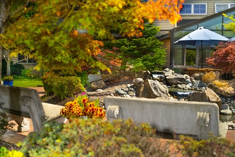 a view of a garden with a fountain and rocks