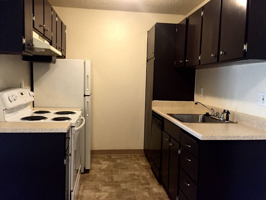 a kitchen with black cabinets and white appliances and a sink
