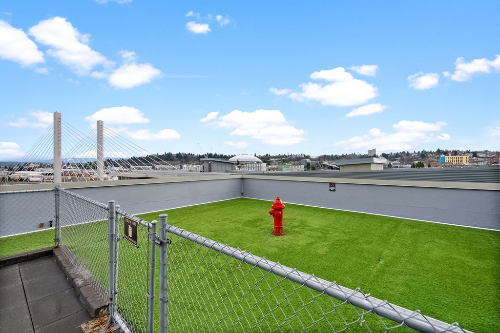 Dog Park at The Henry, Washington, 98402