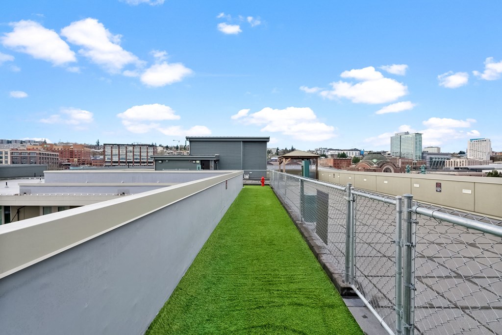 Rooftop Dog Park at The Henry, Tacoma