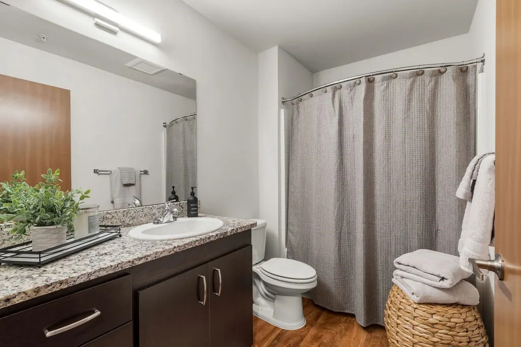 A bathroom with a toilet, sink, and shower curtain.