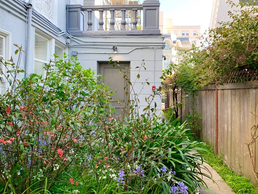the backyard of a house with a garden and a door