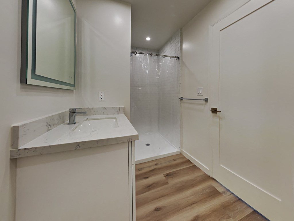 a bathroom with a sink and a shower and a mirror