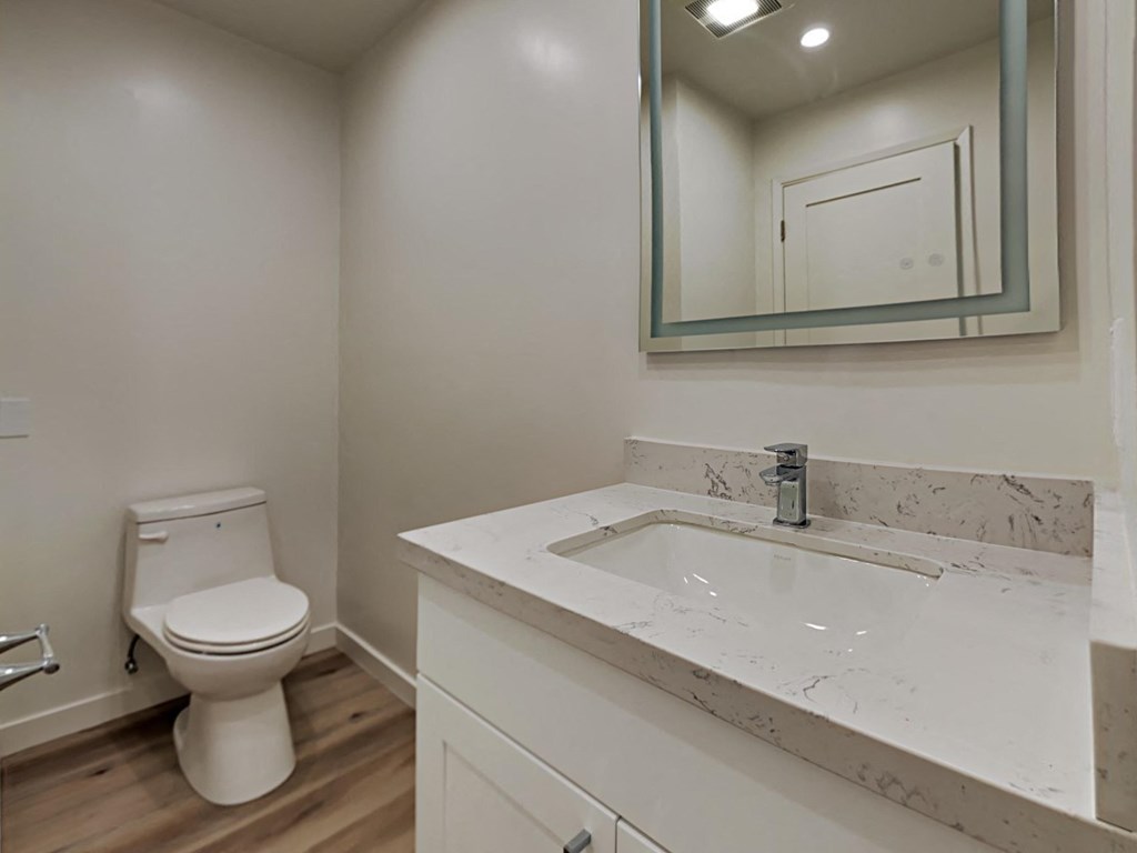 a bathroom with a sink and a toilet and a mirror