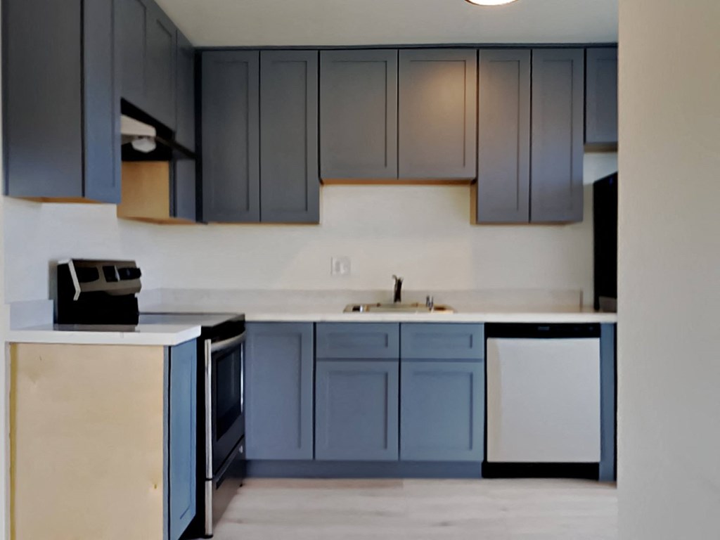 a kitchen with blue and white cabinets and a sink