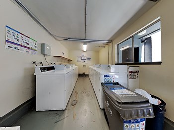 350 Newton Studio-2 Beds Apartment for Rent - Photo Gallery 3