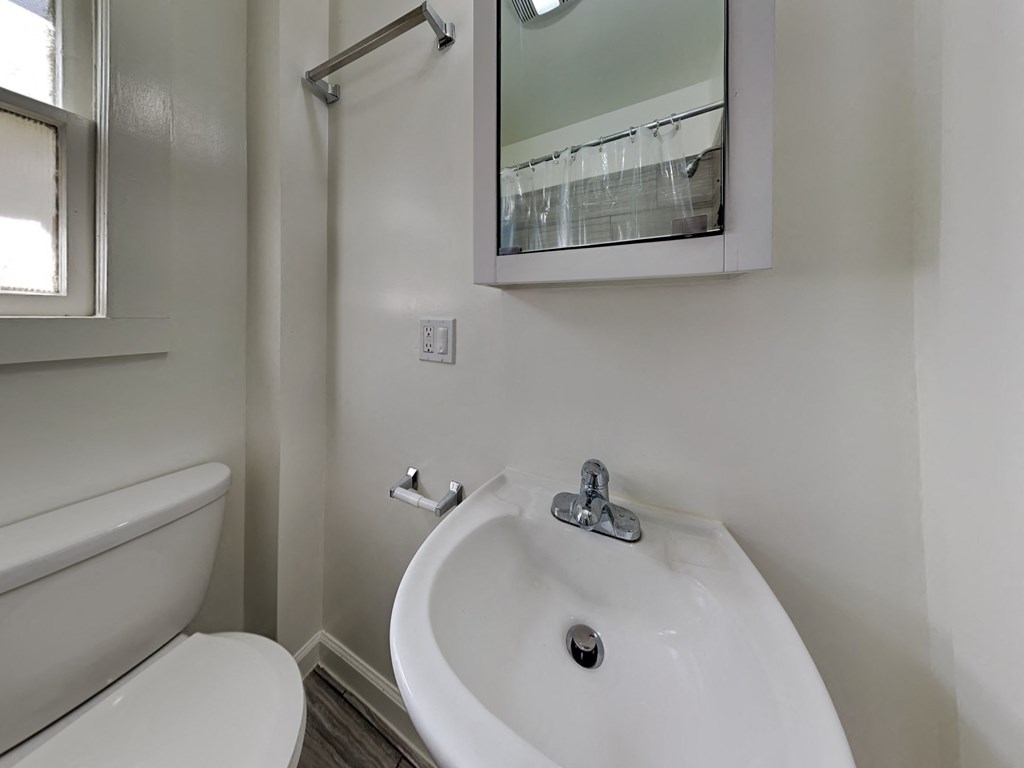 a bathroom with a sink and a mirror and a toilet