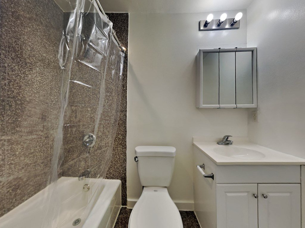 a bathroom with a shower toilet and sink and a mirror