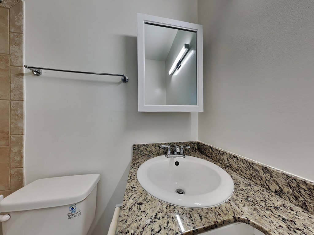 a bathroom with a sink and a mirror and a toilet