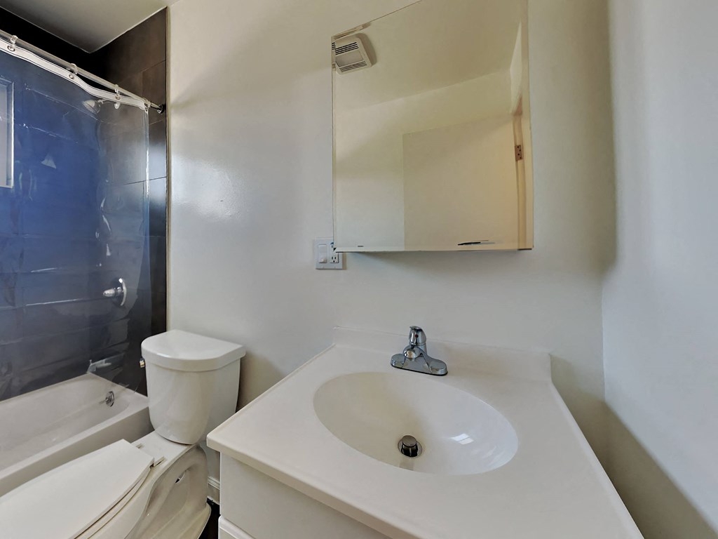 a bathroom with a sink and a toilet and a shower