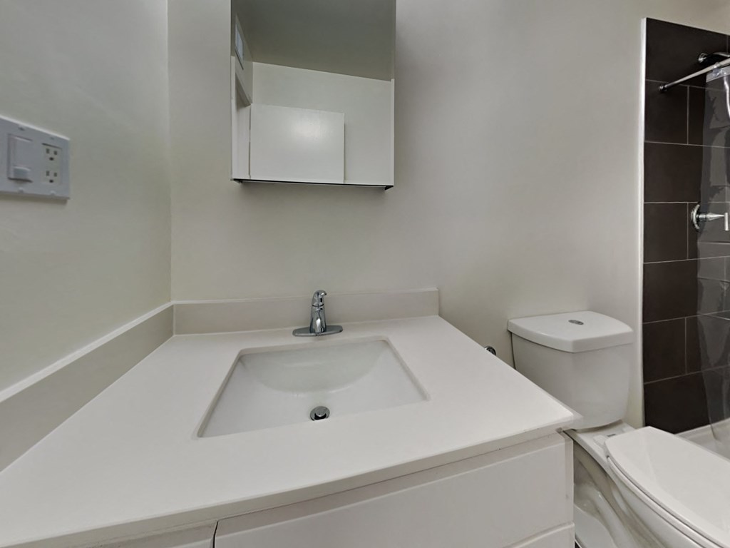 a bathroom with a sink and a mirror and a toilet