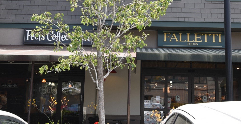 a tree in front of a coffee shop