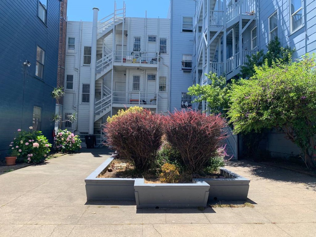 three planters with plants in front of a building