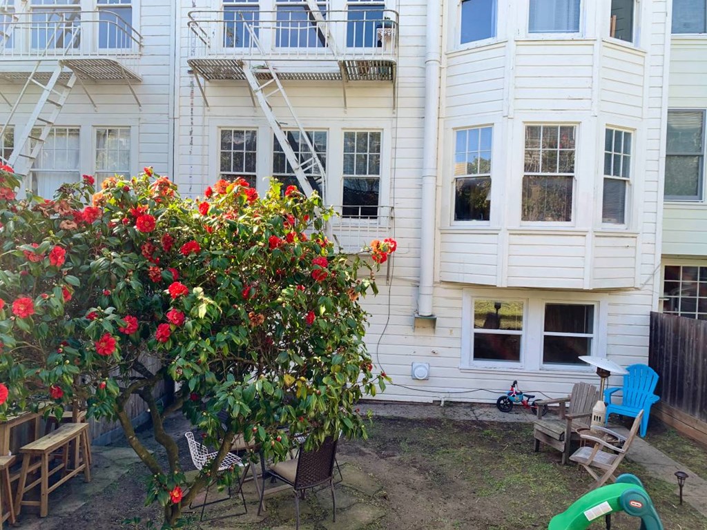 a white house with a tree in front of it