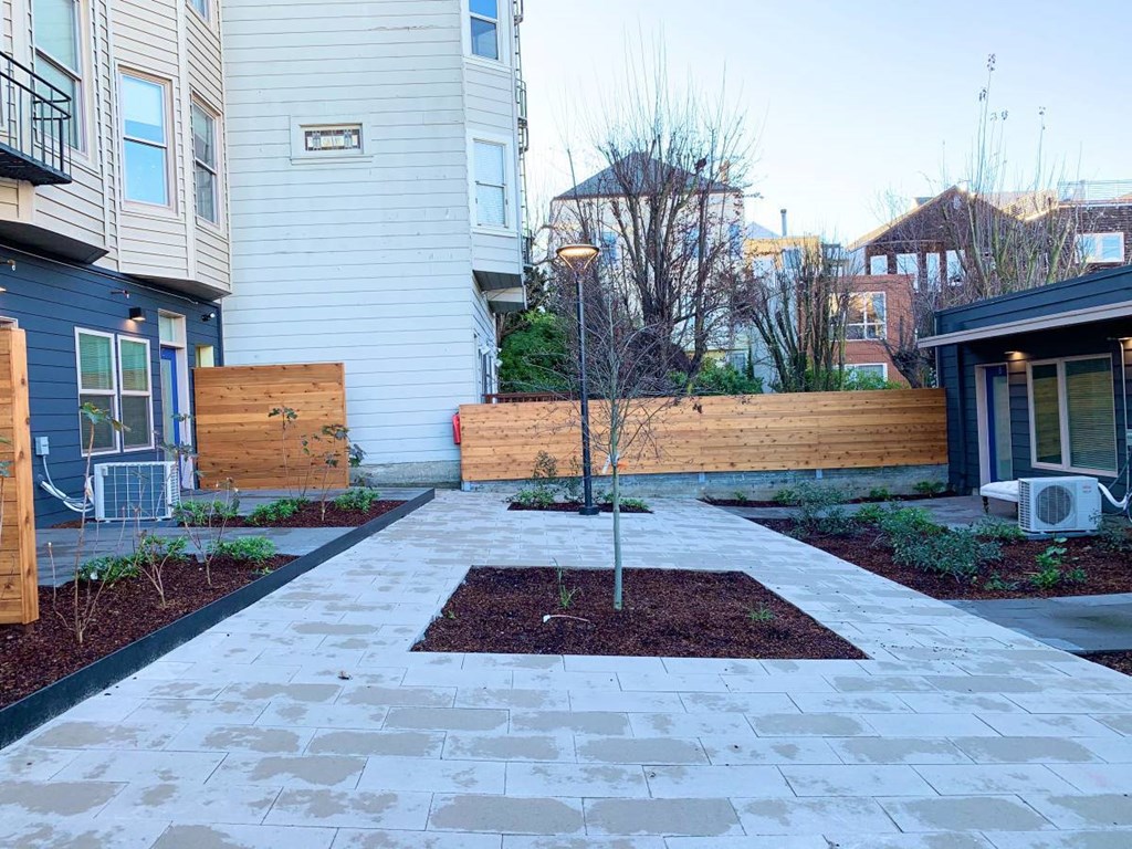 a yard with a tree in the middle of a sidewalk